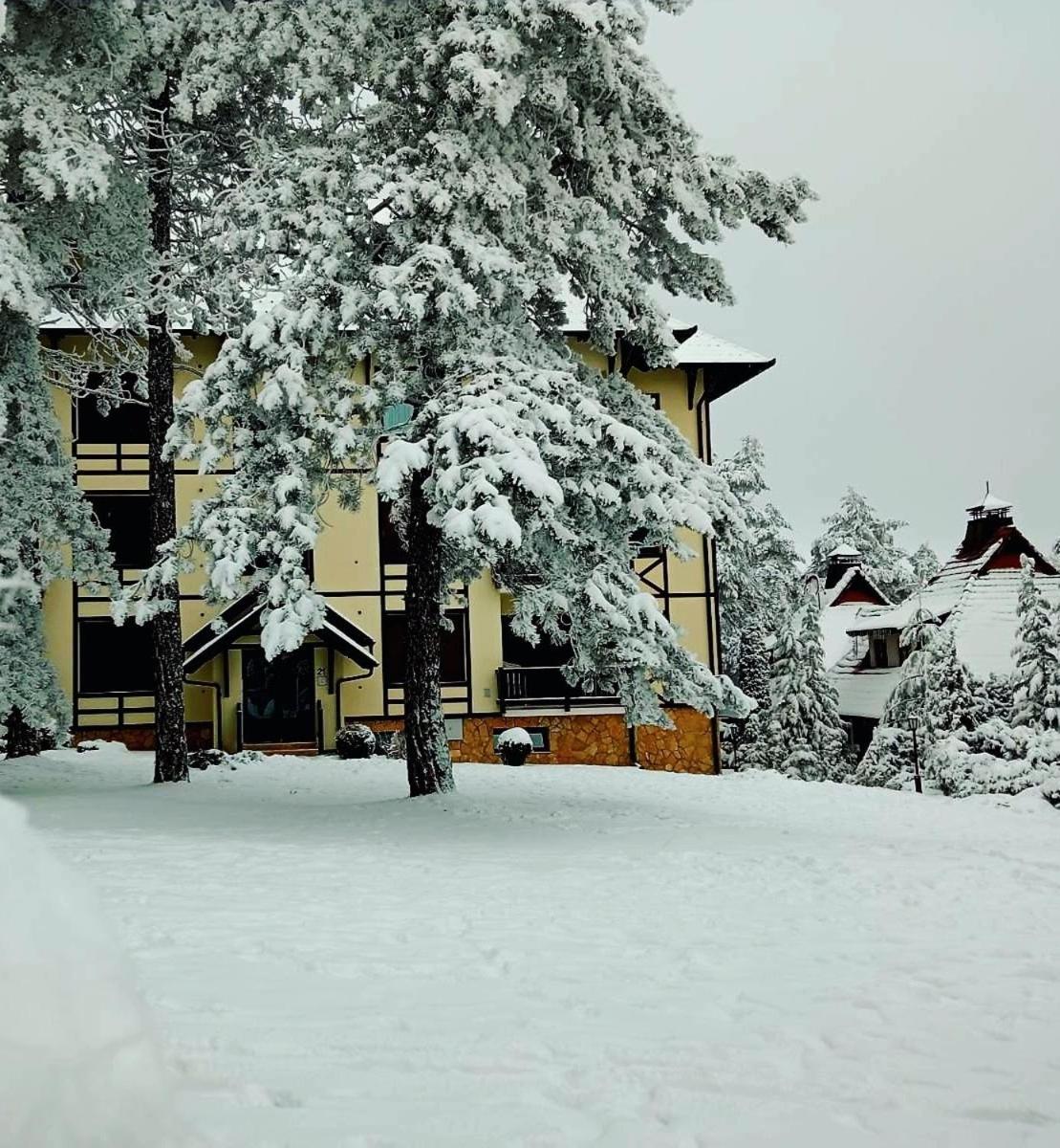 Matija Lux Konaci Apartment Zlatibor Exterior photo